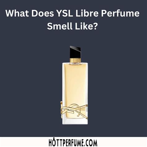 does ysl cologne last long|what does ysl smell like.